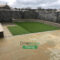 Turfed Lawns